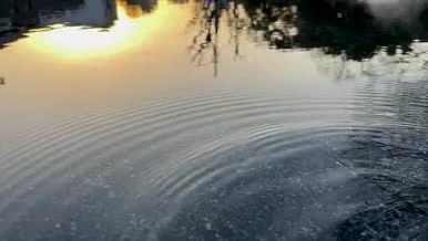 下午夕阳平静水面水滴唯美实拍4k视频视频的预览图